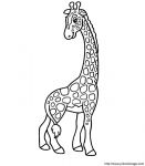 girafe02.jpg
